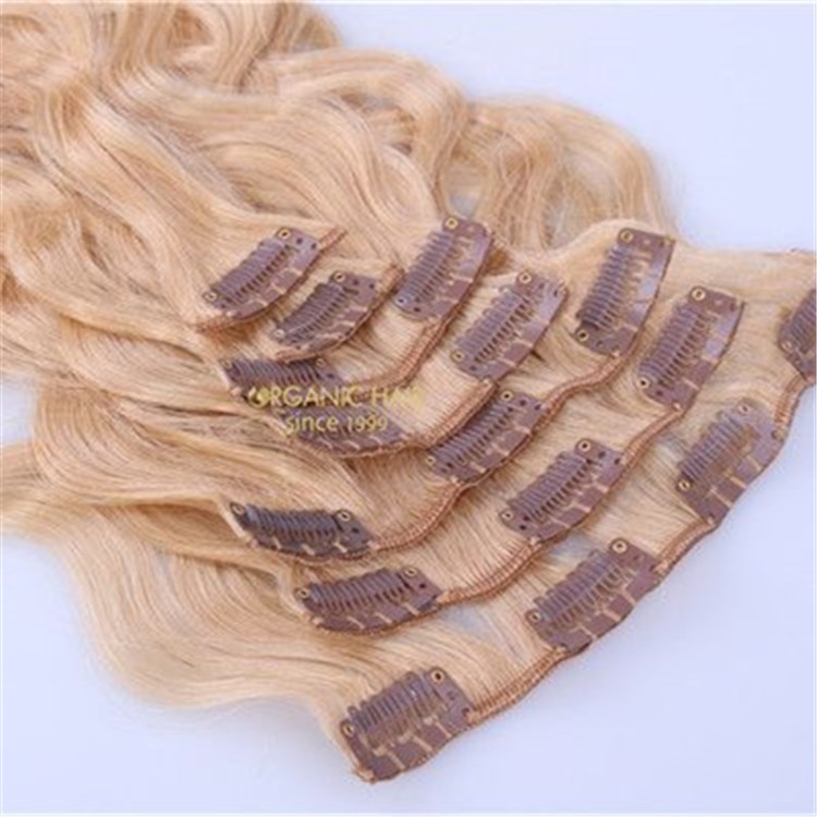 Hot sale wholesale remy flip halo hair extensions A7